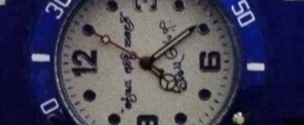 rajapaksaa watch