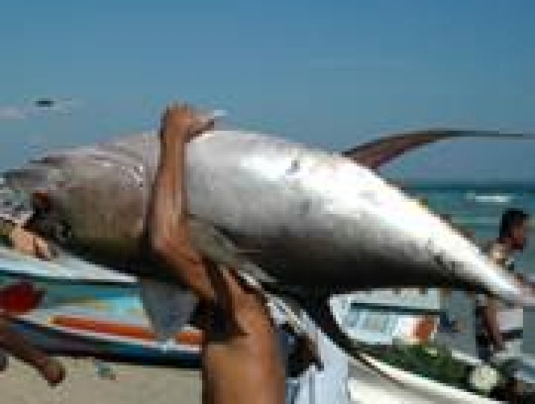 Lanka averts EU fish ban – get two months to comply
