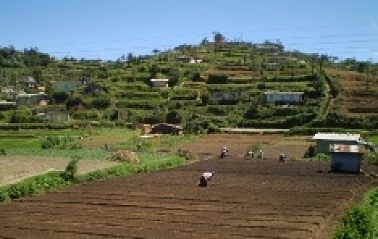 Sri Lanka: Land, Class and Ethnicity