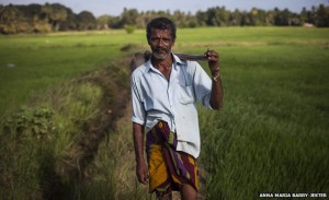 A farmer poses in the rice paddy where he works near Anuradhapura