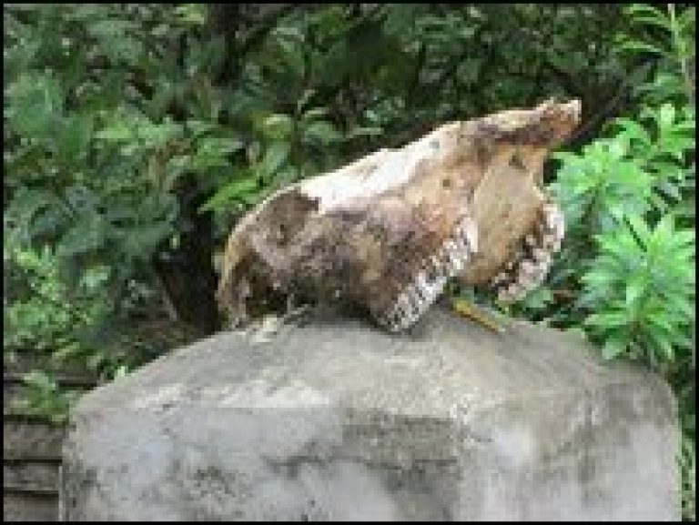 SL military issues death threats to elected members amidst presence of foreign journalists