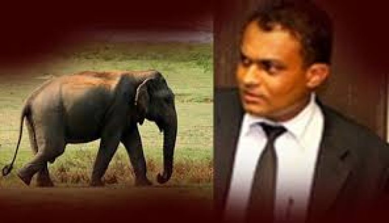 Magistrate Gamage Saga: Mockery of  Judicial Independence in Sri Lanka