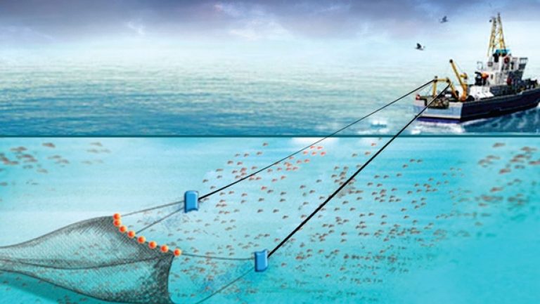 Banning Bottom Trawling Will Greatly Reduce the Incentive to Trespass into Sri Lankan Waters.