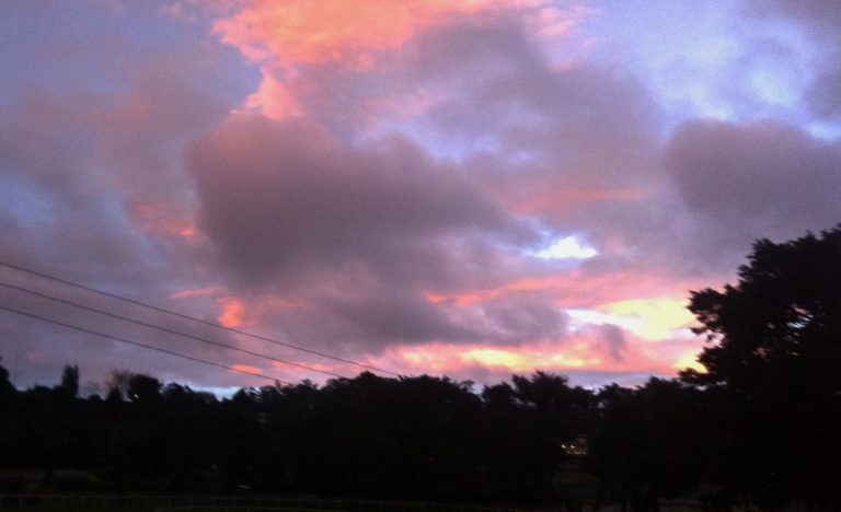 Black July, Government Promises and Our Future