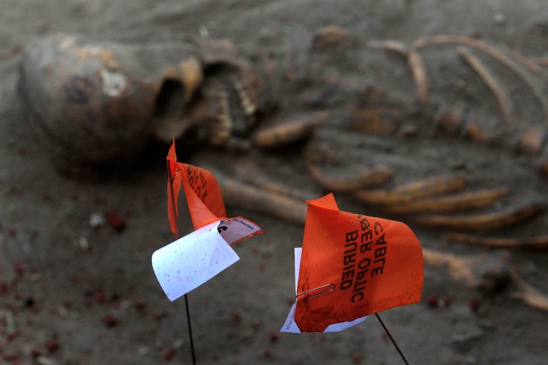 International Forensic Analysts Essential in Mannar Investigation – Selvam Adaikkalanathan