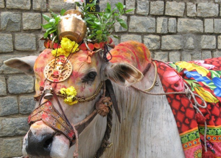 Sampanthan’s Thai Pongal Message: The new year begins with lots of expectations