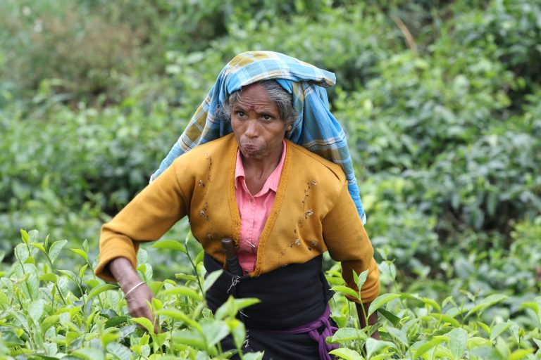 Urgent steps needed to uplift up-country Tamil community in Sri Lanka