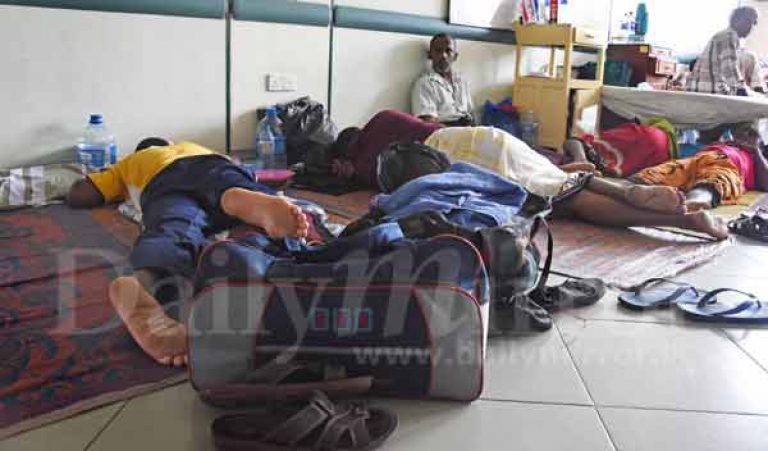 Sri Lanka’s Worst-Ever Dengue Outbreak Kills 225