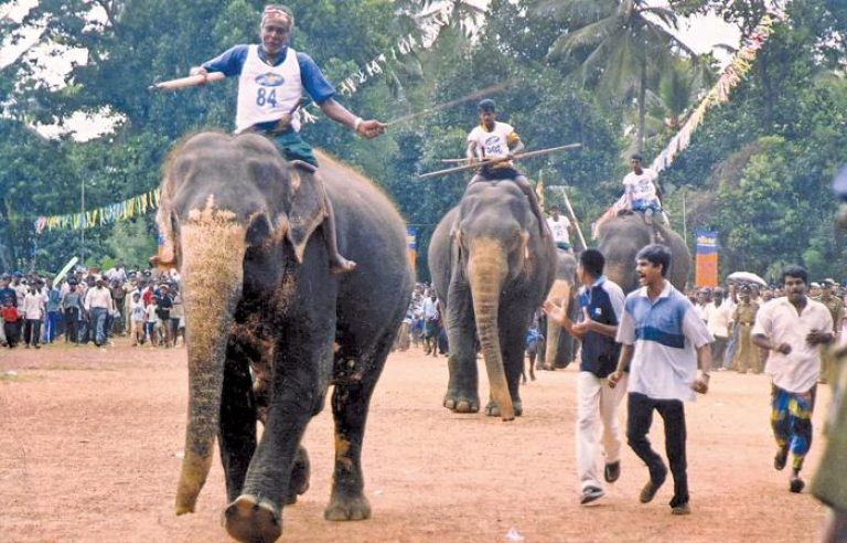 Sri Lanka: Baberic avurudu Elephant racing under fire