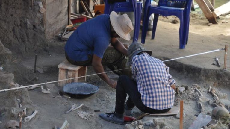 Sri Lanka mass grave: Dozens of skeletons found in Mannar