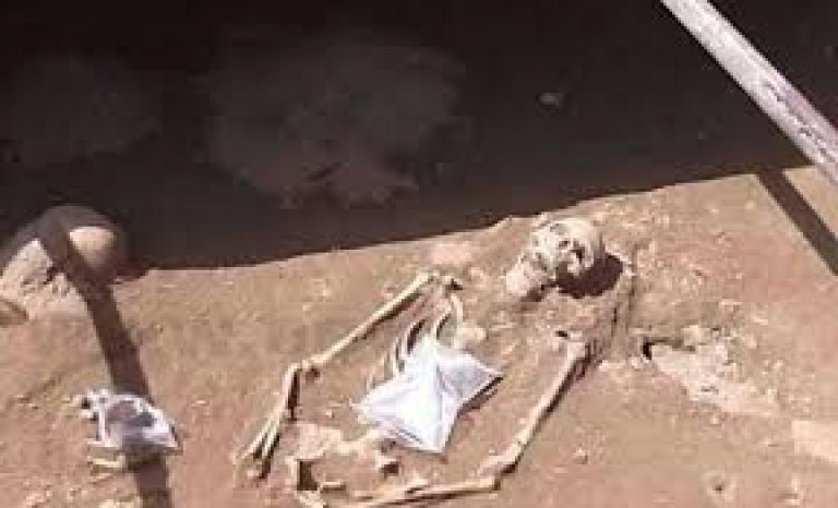 Office of Missing Persons to fund skeletal excavations in Mannar
