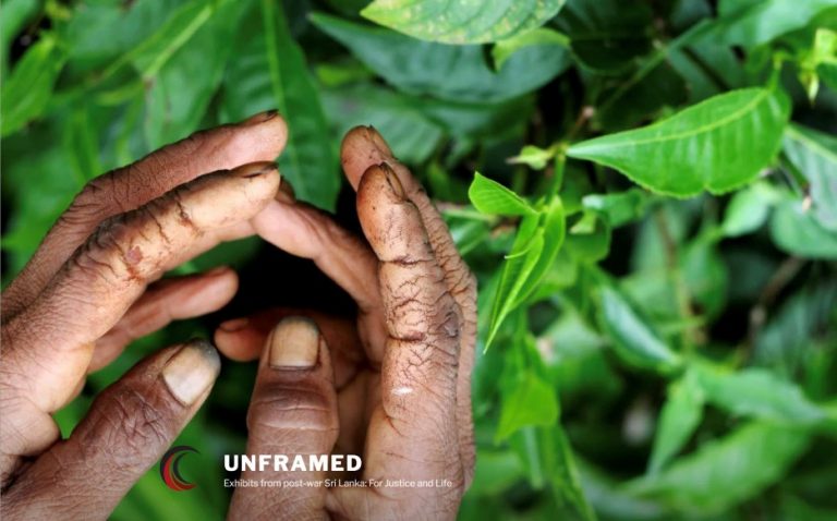 FMM condemns disruption of “Unframed” photo exhibition at Peradeniya University