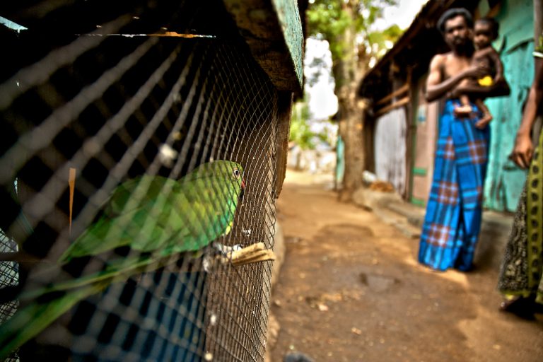 Sri Lanka: Time to Set-up a TRC? – Mark Salter