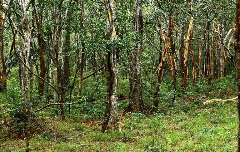 The Continuing Chaos of the Wilpattu Wrangle and the Responsibility of the Citizenry