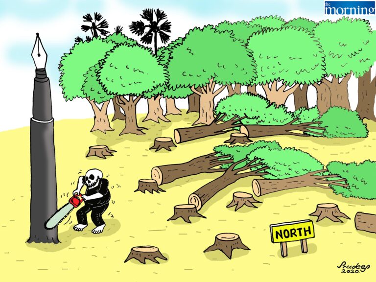 Sri Lanka: Journalists exposing timber smuggling attacked