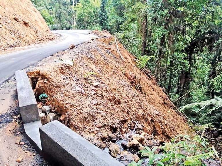 Sri Lanka: Threatened biodiversity hotspot on the road to destruction – Kamanthi Wickramasingha
