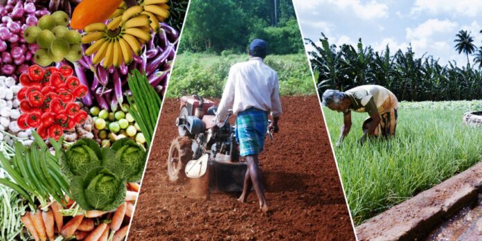 Sri Lanka's Agricultural Scientific Community Predicts Substantial ...