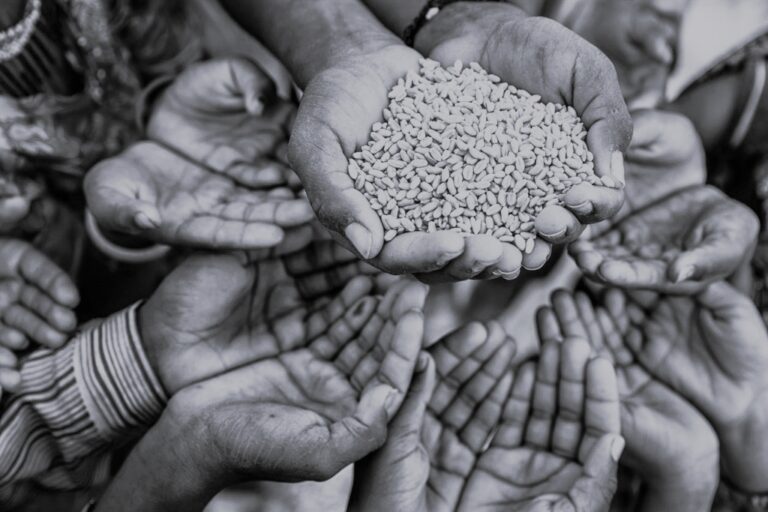 Tamil Nadu to provide 40,000 tonnes of rice, 137 types of lifesaving drugs and 500 tonnes of milk powder for children – GTF