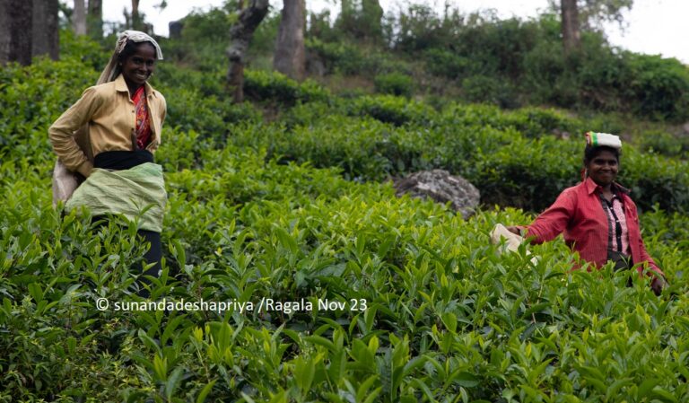 Discrimination & sufferings of   female workers in Sri Lanka plantation sector – Mathavakala Mathavan,
