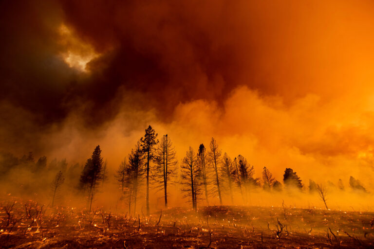 UN Warns of Climate Collapseත Governments Should Phase Out Fossil Fuels