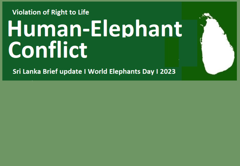 Sri Lanka Brief update on World Elephant Day: Human-Elephant conflict and violation of right to life.