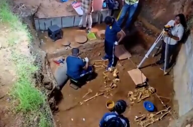 Eight human skeletons found so far in Colombo Port dig