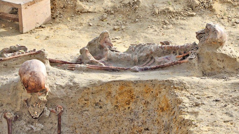 Second-largest mass grave in Sri Lanka Chemmani excavations reach 240 human remains