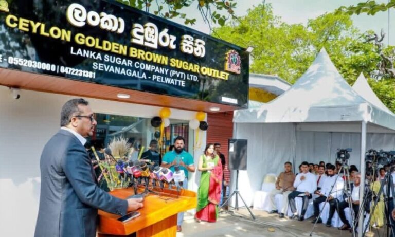 Lanka Sugar Company Chairperson Sandamali Chandrasekera Resigns Citing Political Pressure